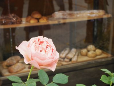 バラとガーデニングショウ・薔薇とパン屋