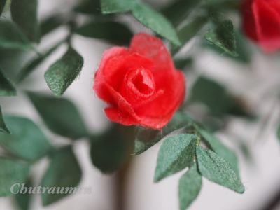 和紙で作るバラの花